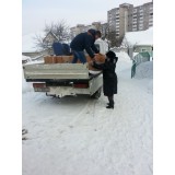 Ode to Humanitarian aid load